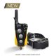 Dogtra IQ Mini